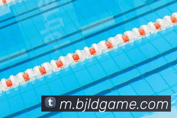 百家乐网站平台生态图